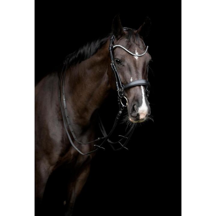 Immagine prodotto Catago Gentle