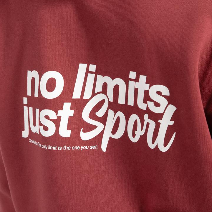 Produktbild Smilodox Hoodie Fortes (M)