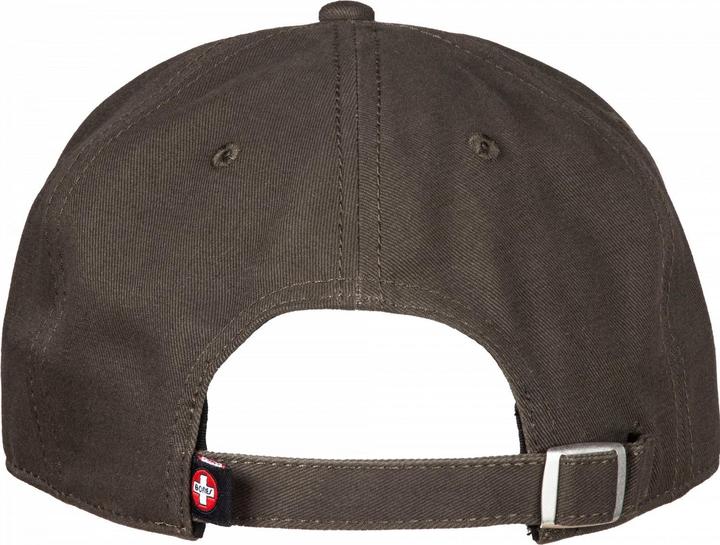 Immagine prodotto Bones Bearings Dad Cap