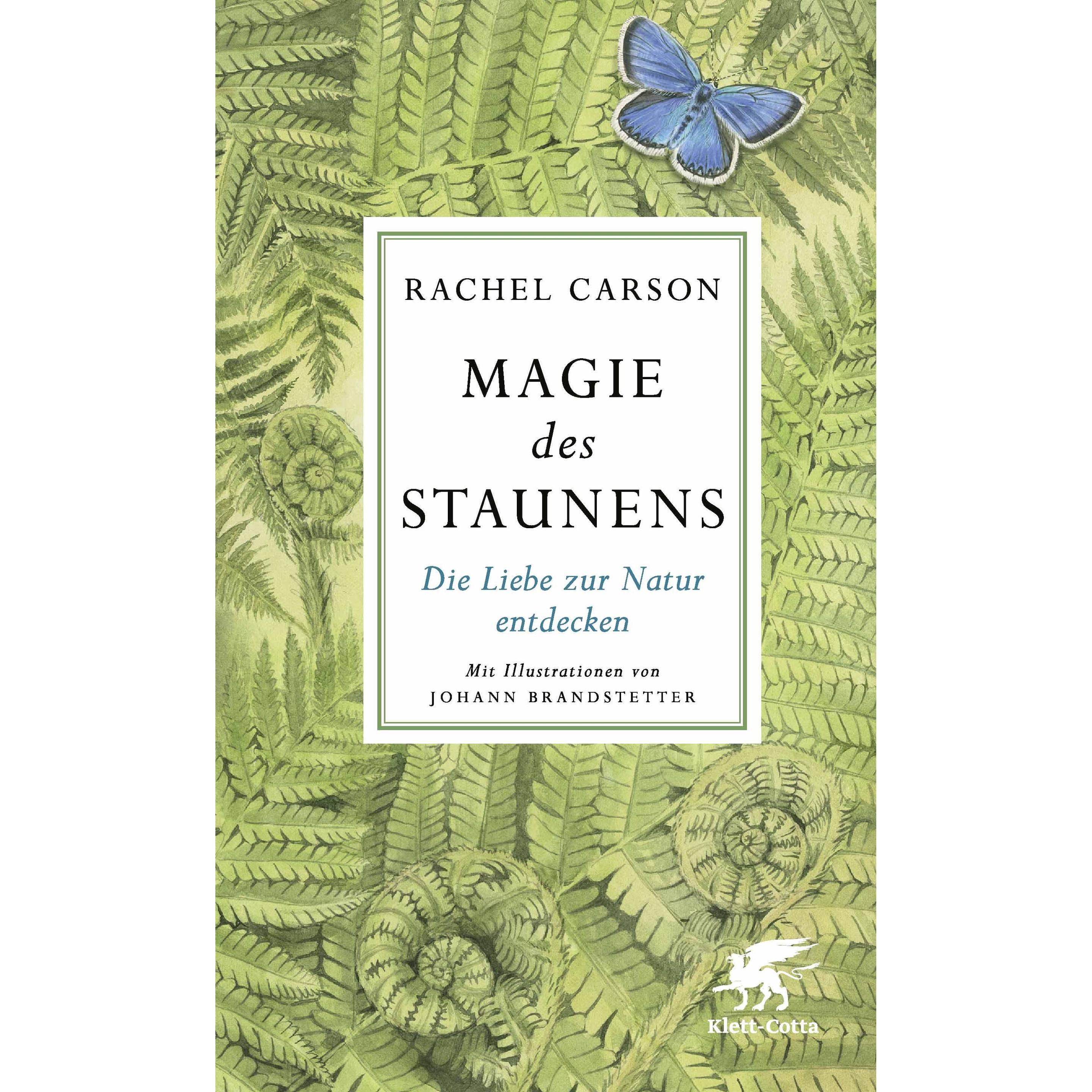 Magie des Staunens, Ratgeber von Rachel Carson