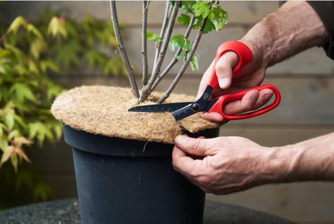 Actual product image Felco 455: Versatile professional scissors