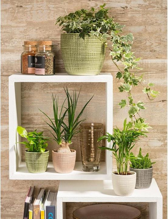 Immagine prodotto Scheurich Vaso da fiori bianco Ø 21,5 cm (21.50 cm)