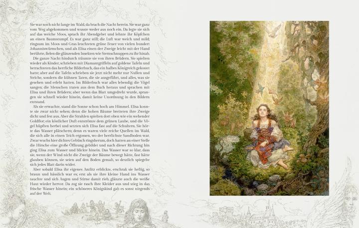 Actual product image Die wilden Schwäne (German, Hans Christian Andersen, Anton Lomaev, 2020)