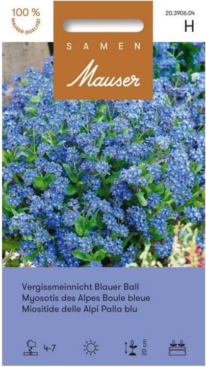 Produktbild Samen Mauser Vergissmeinnicht Blauer Ball (Pflanzensamen)