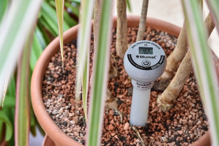 Produktbild Blumat Erdfeuchte-Sensor