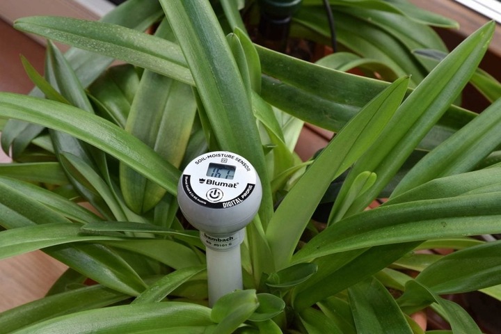 Produktbild Blumat Erdfeuchte-Sensor