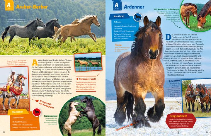 Actual product image Tessloff Pferde und Ponys (German, Silke Behling, 2016)