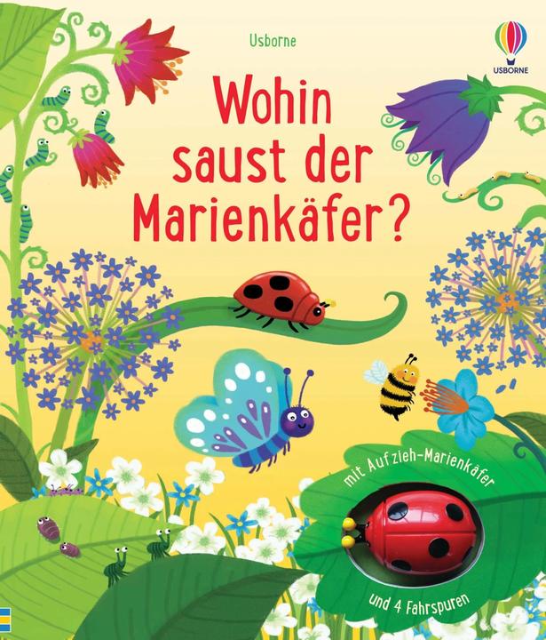 Produktbild Wohin saust der Marienkäfer? (Deutsch)