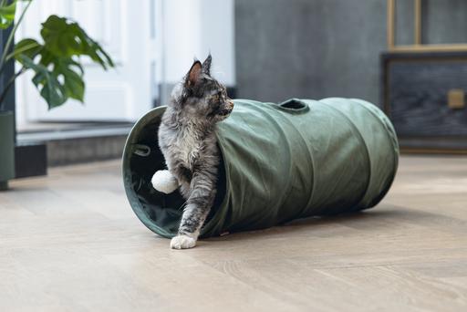 Actual product image Designed by Lotte Cat tunnel Cylla (Cat tunnel)