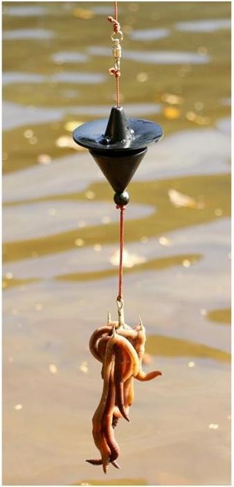 Image du produit Zeck Teaser disque vert