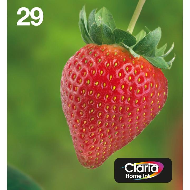 Produktbild Epson 29 Claria Home Multipack (BK, C, M, Y)