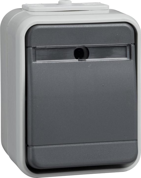 Schneider GmbH Push-button 10A AquaTop light/basalt grey