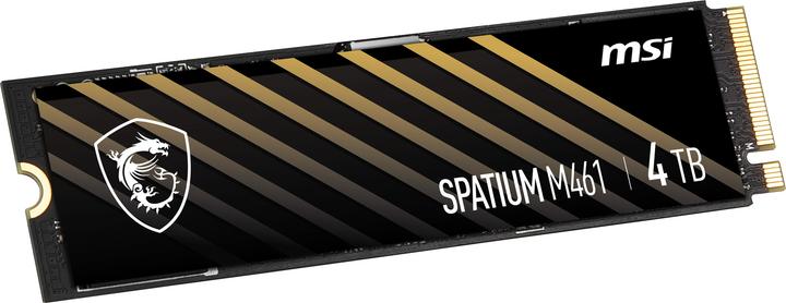 Actual product image MSI Spatium M461 (4000 GB, M.2 2280)