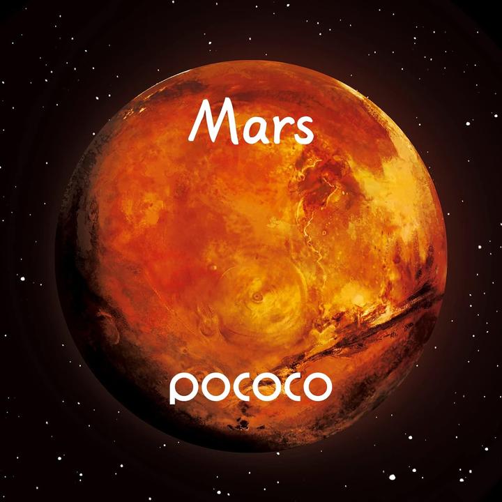 Image du produit Pococo Disques spatiaux