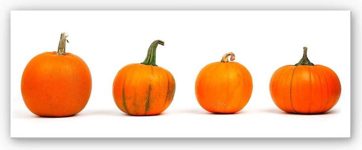 Image du produit Trenddeko Variétés de courges - Panorama (40 x 100 cm)