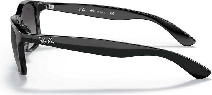 Produktbild Ray Ban Rb4202