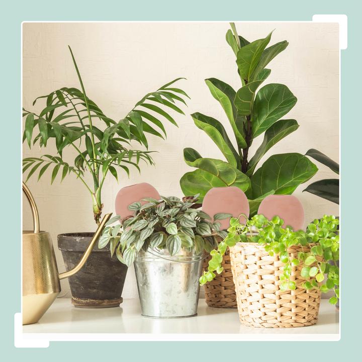 Image du produit Relaxdays 6x Tonkegel (Cône d'argile)