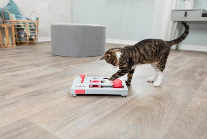 Actual product image Trixie Brain Mover (Cat activity toy)