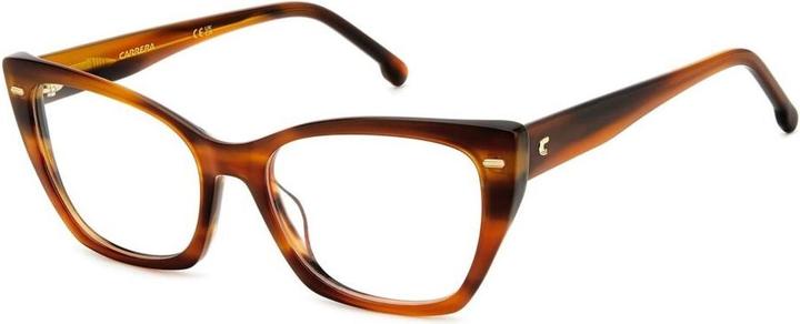 Actual product image Carrera Spectacle frame 3036