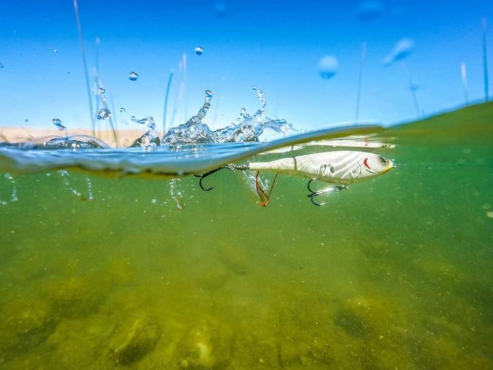 Actual product image Berkley Choppo 120mm (12 cm)