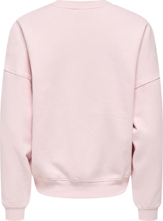 Produktbild JdY Jdymesa Life L/S O-Nk Emb Sweat Jrs Noos (S)