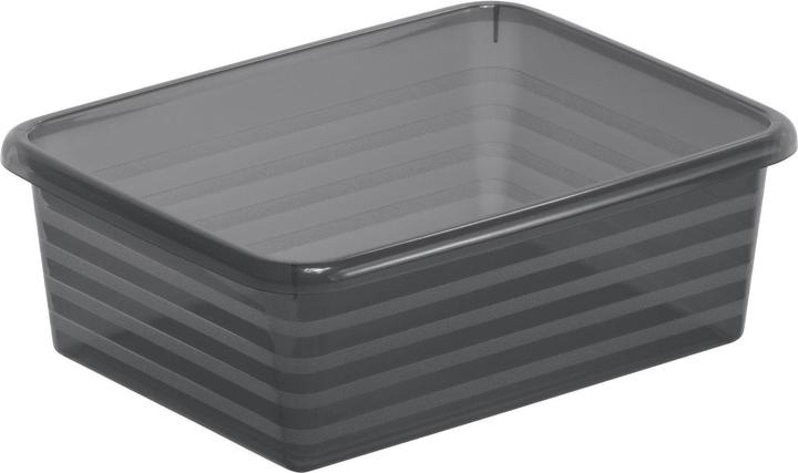 Actual product image Rotho Linus (14.5 x 6 x 19 cm, 0 l)