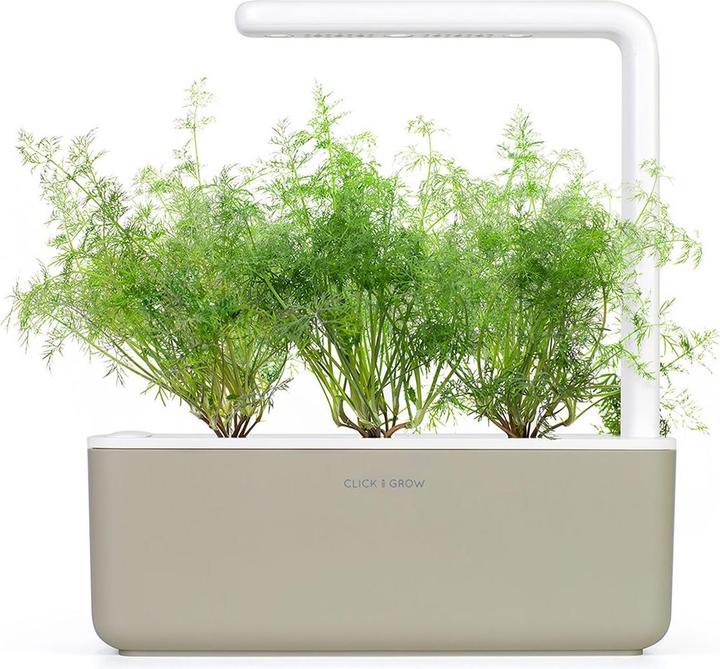 Produktbild Click and Grow Dill (Kräutersamen)