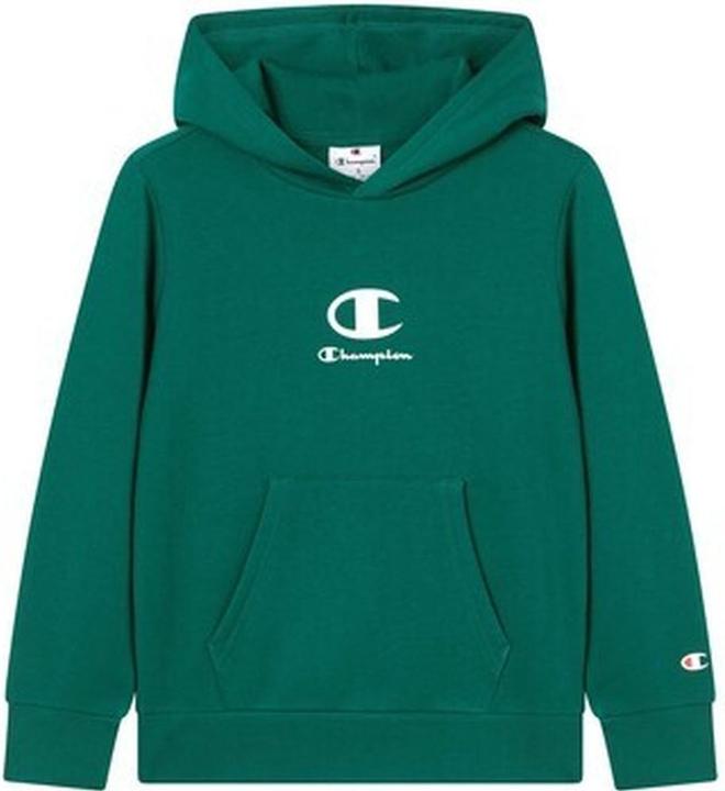 Actual product image Champion Legacy Sweatshirt (L)