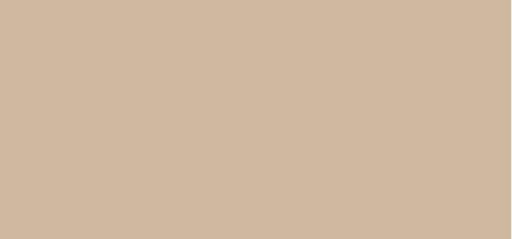 Image du produit essence silky BLUR HYDRATING LONGWEAR CONCEALER anti-cernes (180, Nude)