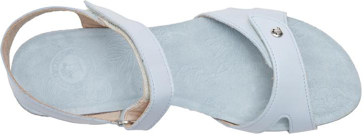 Actual product image Panama Jack Julia Wedge Sandal (38)