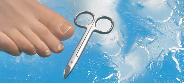 Immagine prodotto Forbici per unghie dei piedi, 10,5 cm, extra forte, antiruggine