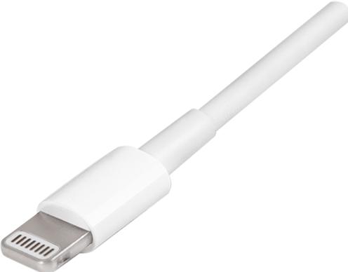 Produktbild LogiLink Lightning - USB A (1 m, USB 2.0)