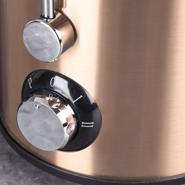 Actual product image BerlingerHaus Juicer