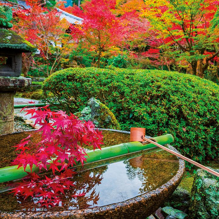 Produktbild Inside Japan 2024