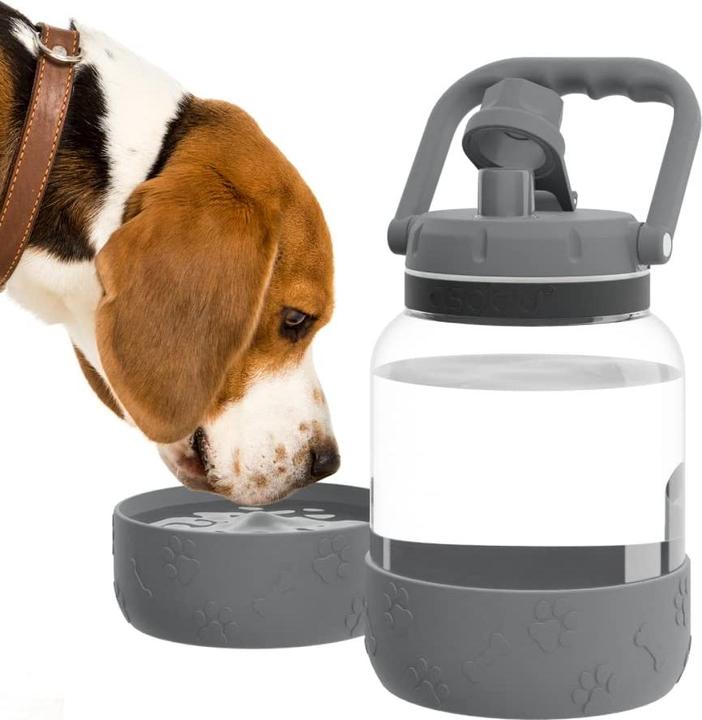 Actual product image Asobu The Barkely Bowl Bottle - Grey - (84259104828) (150 cl)
