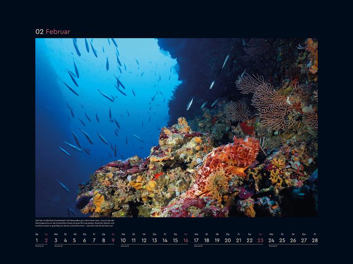Produktbild Getarnt - Wandkalender 2025 (Harter Einband, Deutsch)