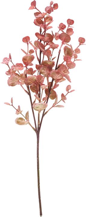 Immagine prodotto DPI Ramo di eucalipto "Marissa", circa L 48 cm
