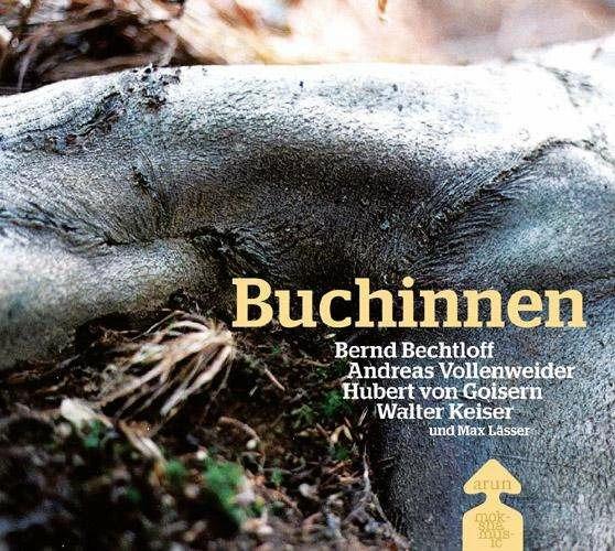 Produktbild Buchinnen (Deutsch, Andreas Vollenweider, Bernd Bechtloff, Hubert Von Goisern, Walter Keiser, 2014)