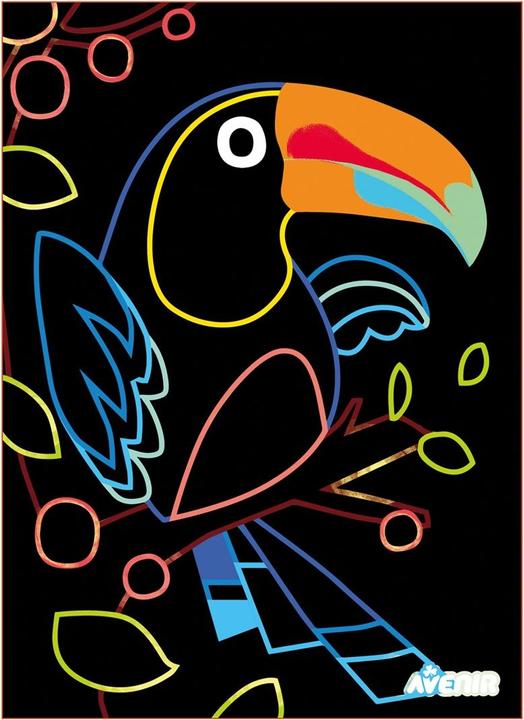 Actual product image Avenir AVE Scratch-4 Magic Birds
