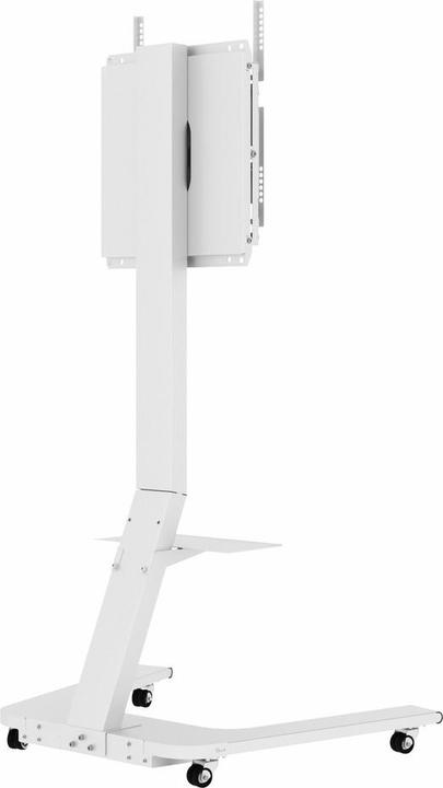 Image du produit Hagor système de support mobile pour SAMSUNG WM55H et WM55R (45 kg, 55")