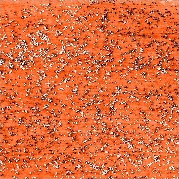 Image du produit Creativ Company Peinture acrylique pailletée pour enfants - Orange, 500 ml (500 ml)