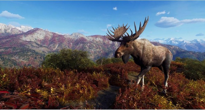 Image du produit THQ Way of the Hunter - Expéditions sauvages (Xbox Series X, EN)