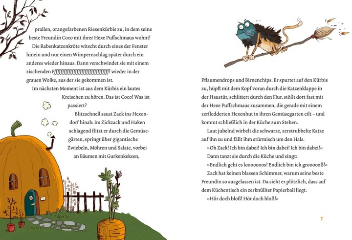 Produktbild Coco und Zack – Im Internat der Hexentiere (Anna Lott, Nikolai Renger, Deutsch)