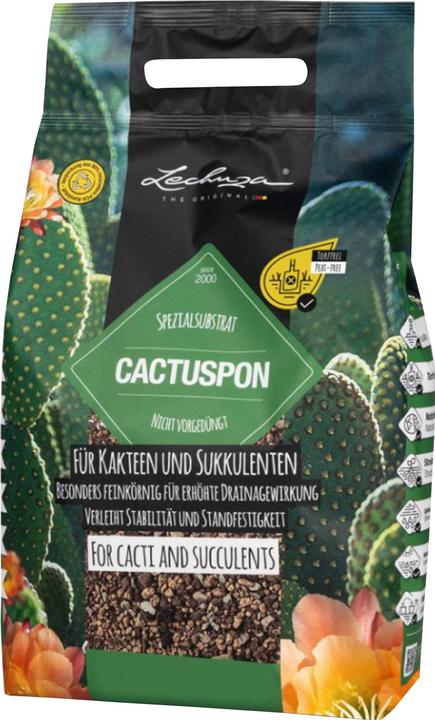 Immagine prodotto Lechuza Cactuspon. (19545)