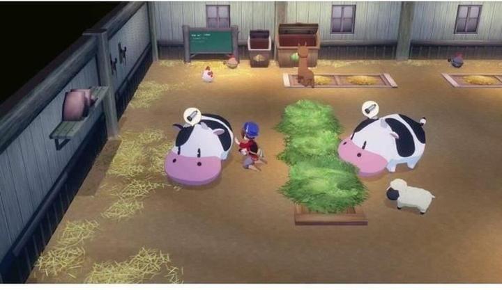 Actual product image Marvelous Story of Seasons: Grand Bazaar (Limited Edition) (Switch, EN)