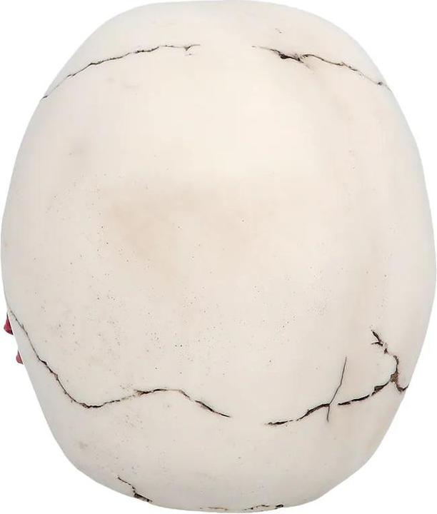 Produktbild Boland Totenkopf Schädel Casanova (1 Stück)