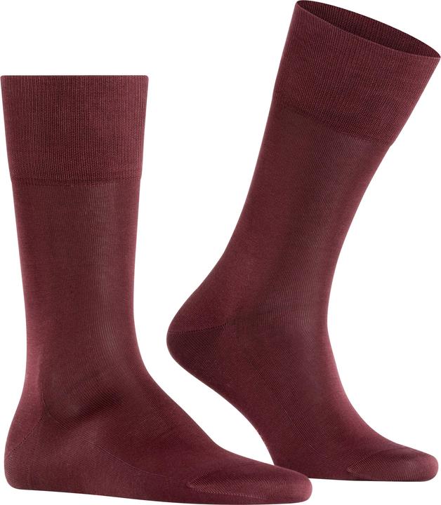 Barolo