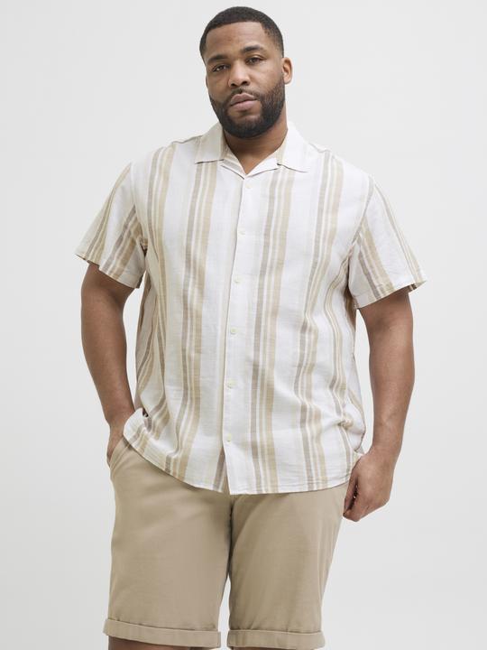 Actual product image Jack & Jones Plus Size Relaxed Fit Hemd Hemd