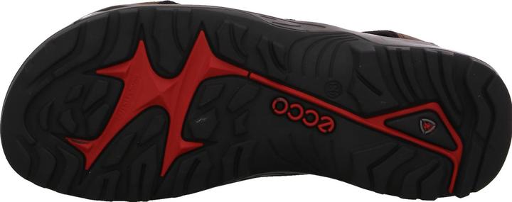 Actual product image Ecco Offroad Andes II (42)