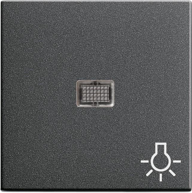 Actual product image Gira Rocker control f. large + symb. Light 063028